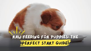 Raw Feeding for Puppies The Perfect Start Guide [upl. by Tugman]