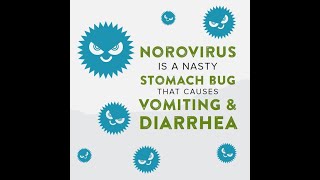 Norovirus is a nasty stomach bug [upl. by Analem]