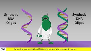 Custom oligonucleotide synthesis  30 years of experience  Dharmacon™ reagents [upl. by Oisangi]