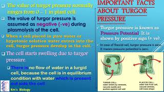 Effective role of Turgor Pressure and Wall Pressure in Plant [upl. by Brunhilda]