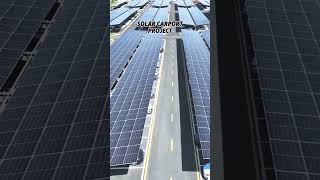 Power Your Parking with Solar Carports 🌞🚗 SolarCarport EcoParking SustainableEnergy [upl. by Ellerad]