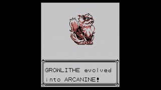 Pokemon RedBlue  Evolving Growlithe into Arcanine with a Fire Stone [upl. by Melton]