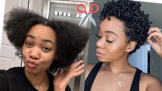 Tapered CutTrim on Natural Hair [upl. by Serafina]