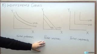 Microeconomics Three Types of Indifference Curves [upl. by Ejrog440]