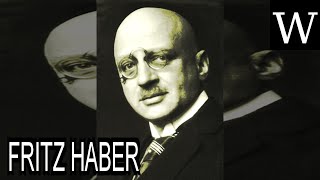 FRITZ HABER  Documentary [upl. by Litman659]