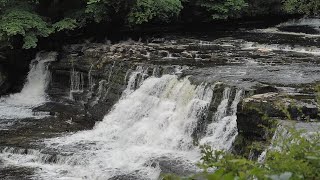 Aysgarth Falls Yorkshire England [upl. by Atnuahs]