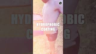 Do You Know About Hydrophobic [upl. by Aivatco117]