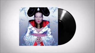 Björk  Immature [upl. by Harvison]