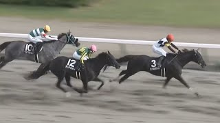 【競馬】2024年 トルマリンステークス3歳以上3勝クラス【ピースオブザライフ  西塚洸二】 [upl. by Emalee]