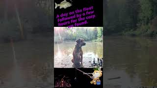 Bulworthy Forest Zebedee Carp Fishing Rig Lovelyzebedeelakebeautiful carpfishingcabindooby [upl. by Moya]