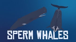 10 Interesting Facts About Sperm Whales [upl. by Ninnahc]