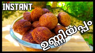 Instant Unniyapam Recipe അരിപൊടി കൊണ്ട് 10 മിനിറ്റിൽ സോഫ്റ്റ്‌ ഉണ്ണിയപ്പം  Cook With Elza [upl. by Idac]