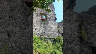 castle slovenia shorts travel [upl. by Aryt462]