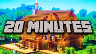 20 Minute Timer MINECRAFT ⛏ [upl. by Olonam]