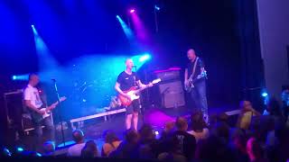 Half Man Half Biscuit “Outbreak of Vitas Gerulaitis” Llangollen Fringe 120723 [upl. by Christal]