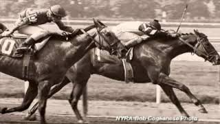 Affirmed and Alydar Rivalry [upl. by Leta65]