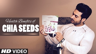 Health Benefits Of CHIA Seeds for weight loss heart brain amp Skin  Guru Mann [upl. by Isidoro]