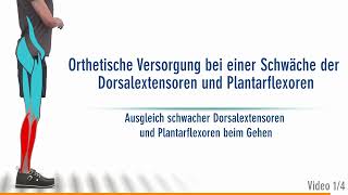 Die richtige Orthese bei einer kombinierten Schwäche der Dorsalextensoren und Plantarflexoren 14 [upl. by Islehc729]