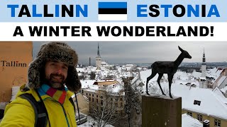 Winter in TALLINN Estonia  What to see eat amp do [upl. by Thorn]