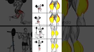 Ultimate Leg Day Best Barbell Workouts for Stronger Legs [upl. by Schuman716]