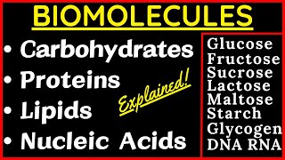 Biomolecules Carbohydrate Glucose Sucrose Protein Nucleic Acid DNA RNA Lipid Cholesterol Steroid Fat [upl. by Nnahsal575]