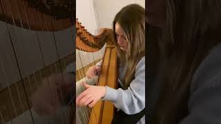 “Farewell To Whalley Range” arr by Ciorstaidh Beaton Michael McGoldrick Jig Irish Harp groove [upl. by Harrak950]