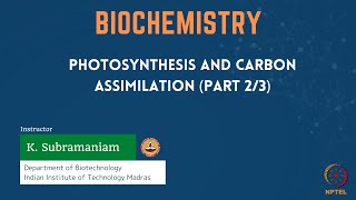 Photosynthesis and Carbon Assimilation Part 23 [upl. by Asilav900]