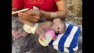 Cute Baby Boy is very smart Sleep Drink Milk and cut nails [upl. by Sherm]