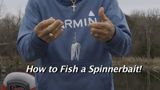 Great ways to Fish a Spinnerbait [upl. by Akirdnas422]