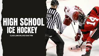 Forest Lake vs White Bear Lake  2024 High School Boys Ice Hockey Live Stream [upl. by Cain]