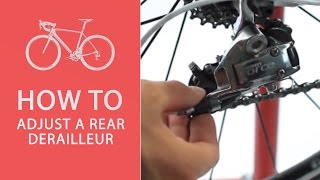 How To Adjust a Rear Derailleur [upl. by Sucitivel215]