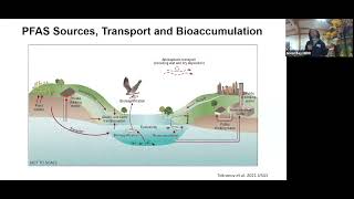 PFAS in Biota Water and Sediments of Great Bay [upl. by Agon]