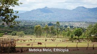 Catalyst Meteka Mele Ethiopia  Nuru International [upl. by Minnnie401]