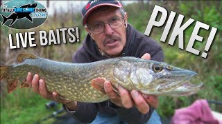 Pike fishing with Livebaits  TAFishing [upl. by Gwyneth]