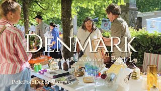 53🇩🇰Nordic  Denmark Tour  Part 1  Copenhagen flea market visit♪ [upl. by Neliak974]