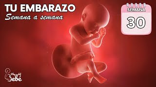 ❤️ Semana 30 de embarazo 🤰 Síntomas consejos y desarrollo del bebé  El embarazo semana a semana [upl. by Karina]