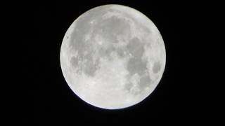 Canon SX730 HS Moon Zoom Test [upl. by Atiseret]