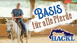 Pferd macht einfach keinen Spaß mehr  Reiten und Umgang nur mit vielen Kompromissen möglich [upl. by Pruter817]