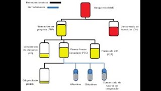 Transfusión hemocomponentes y hemoderivados [upl. by Nnarefinnej172]