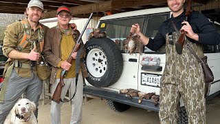 Quail Hunting Cesky Fousek aka Wirehaired Pointing Griffon and English Setter Bud [upl. by Llenna402]