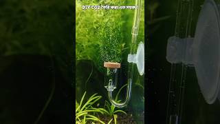 diy co2 for planted aquarium [upl. by Airlie346]