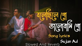 বলেছিলে গো  ভালোবাসি গো 💔😔 Slowed And Reverb  Baul Sukumar  Lyrics Video  Sujan Ad [upl. by Stedmann491]