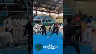 39° Campeonato Paulista de Karate e Kobudo da FBKK Karate karatedo [upl. by Sula]