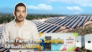 Mini Farm From Sunlight to Sustainability [upl. by Tioneb]