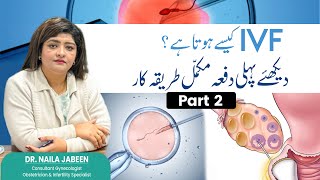 IVF Process Step by Step Dr Naila Jabeen part 2 [upl. by Neri]