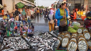 Cambodian Fish Market Tours  Fresh Alive Fish amp Activities of Vendors Selling Fish amp More [upl. by Rundgren]