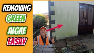 The Easiest Way To Remove Green Algae From Walls [upl. by Diao905]