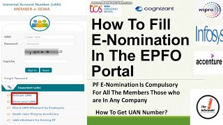 How To File e nomination In The EPFO Portal Online How to Activate UAN NumberHow to Add Nominee [upl. by Refinnaej]