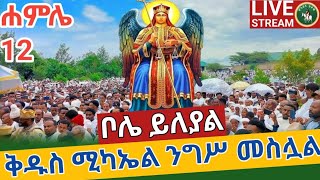 ✅️LIVE❗️ሃያል ሃያል ቀጥታ ቦሌ ቅዱስ ሚካኤል ደምቋል ሐምሌ 12112016 hosaena tube EOTC [upl. by Hakkeber]