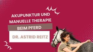 Akupunktur und Manuelle Therapie beim Pferd  Dr Astrid Reitz [upl. by Carmelia]